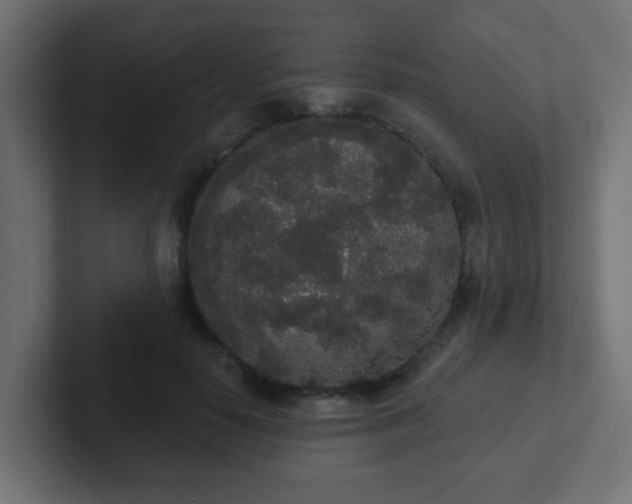 X0000102810650200808251110