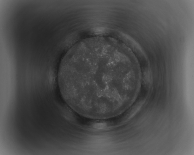 X0000102810653200808251110