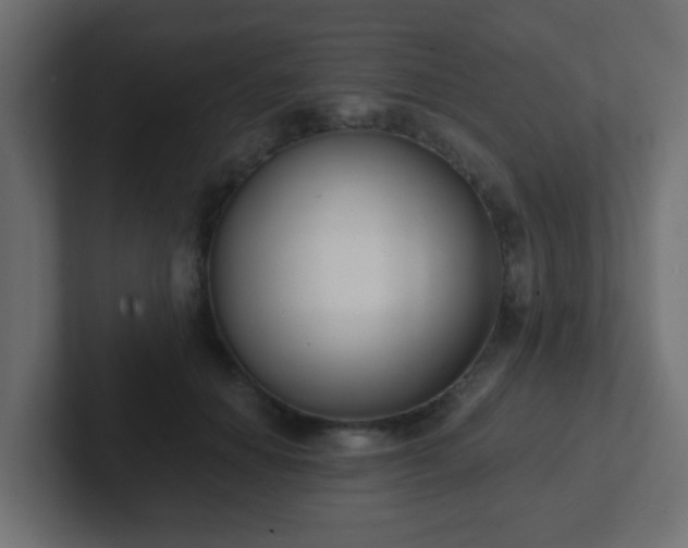 X0000102810654200808251110