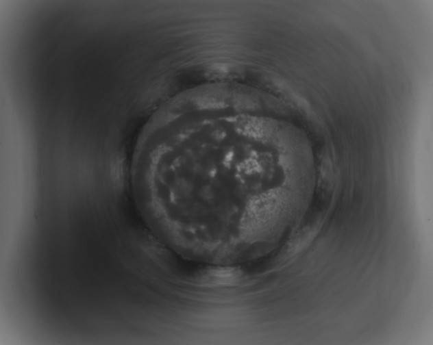 X0000102810659200808251110