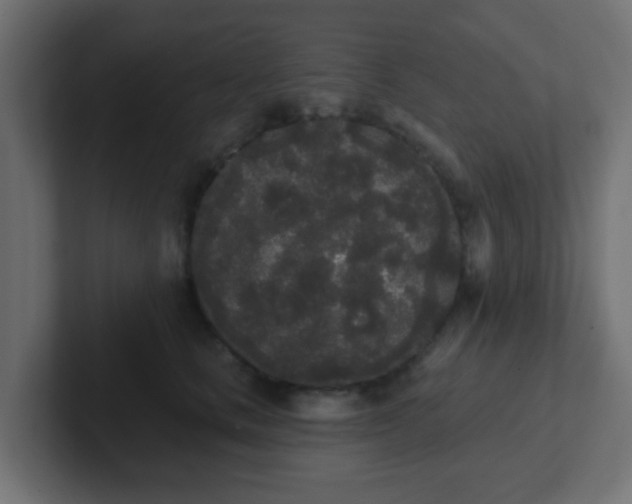 X0000102810661200808251110