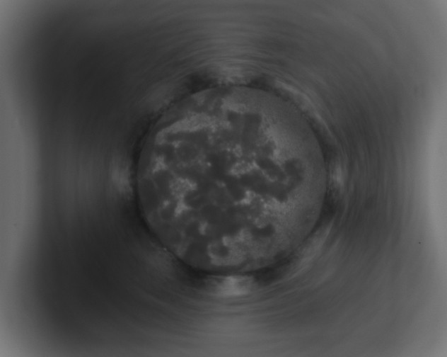 X0000102810663200808251110