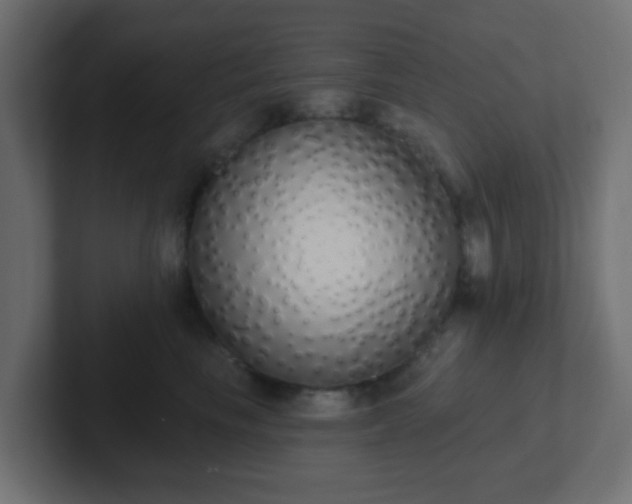 X0000102810665200808251110