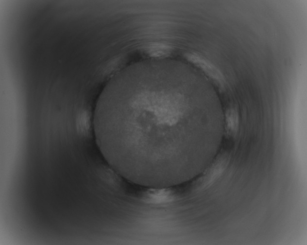 X0000102810667200808251110