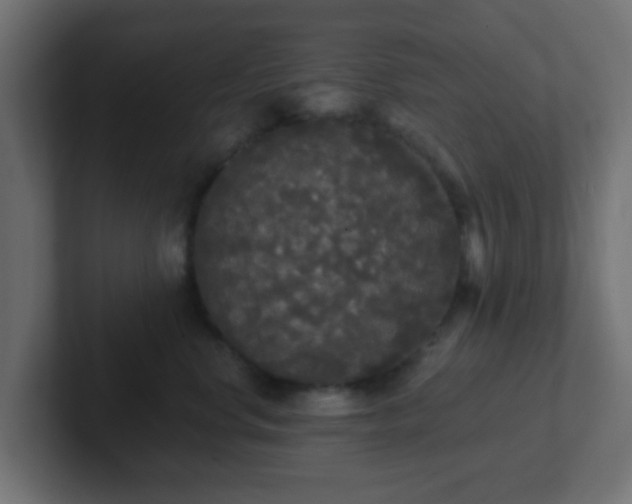 X0000102810668200808251110