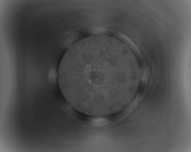 X0000102810669200808251110