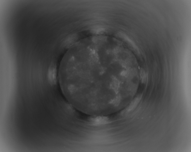 X0000102810670200808251110