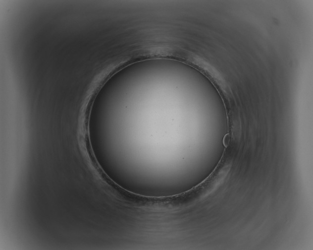 X0000102810673200808251110