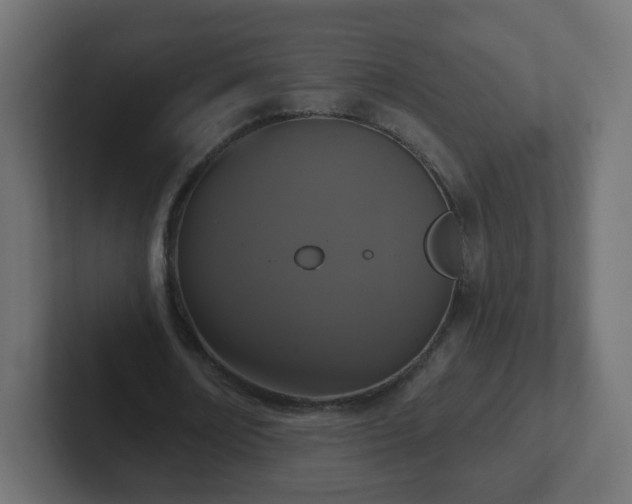 X0000102810674200808251110