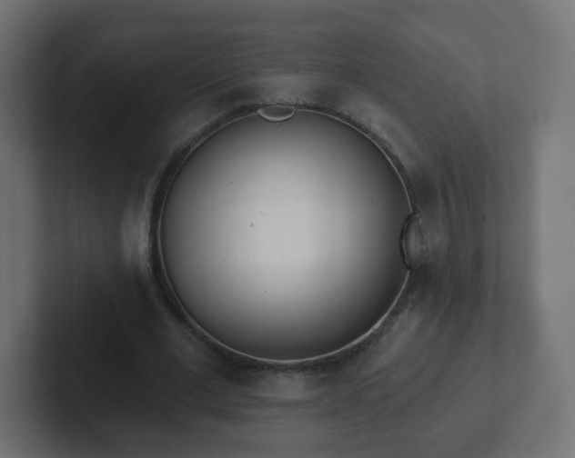 X0000102810677200808251110