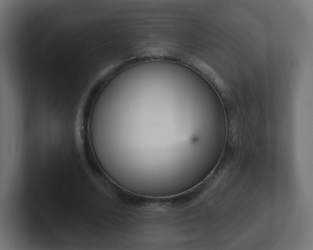 X0000102810680200808251110