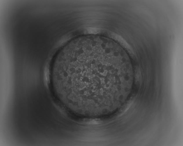 X0000102810683200808251110