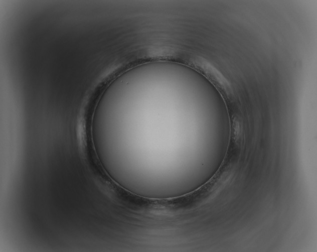 X0000102810684200808251110