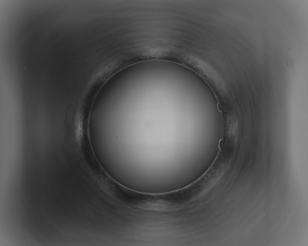 X0000102810685200808251110