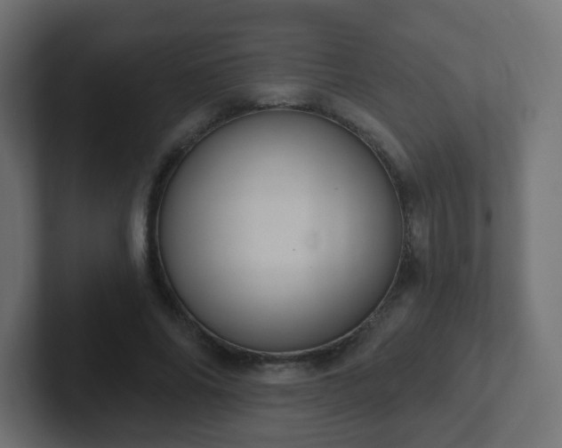 X0000102810686200808251110