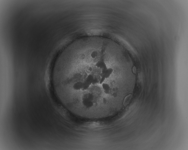 X0000102810687200808251109