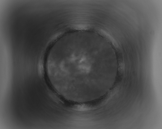 X0000102810688200808251109