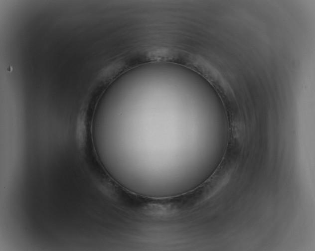 X0000102810690200808251109