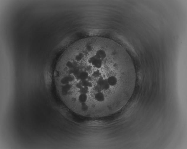 X0000102810691200808251109