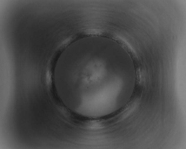 X0000102810692200808251109