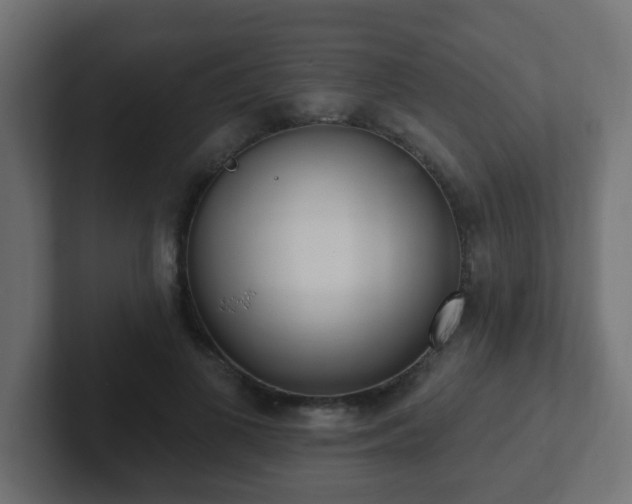 X0000102810693200808251109