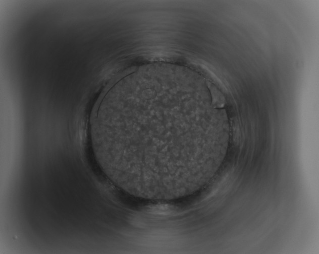 X0000102810695200808251109