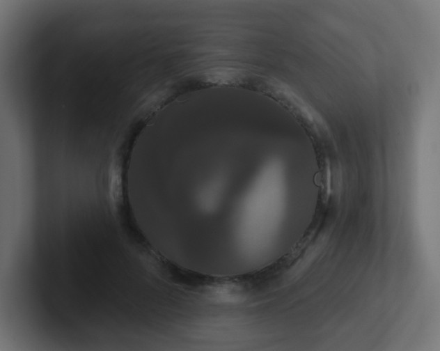 X0000102810696200808251109