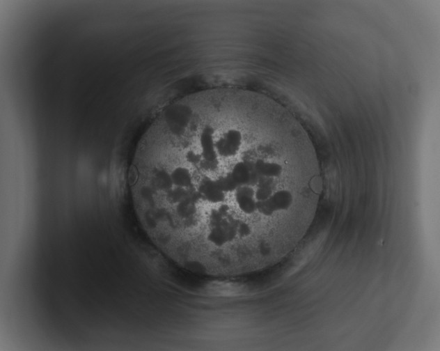 X0000102810699200808251109