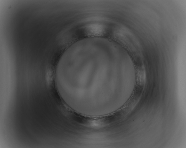 X0000102810701200808251109