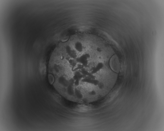 X0000102810703200808251109