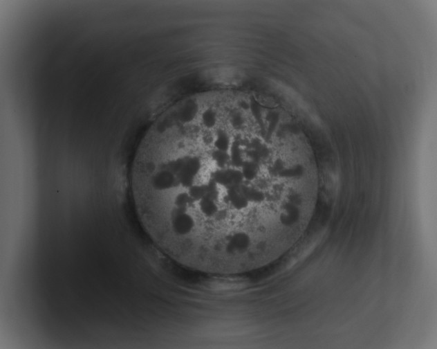 X0000102810707200808251109