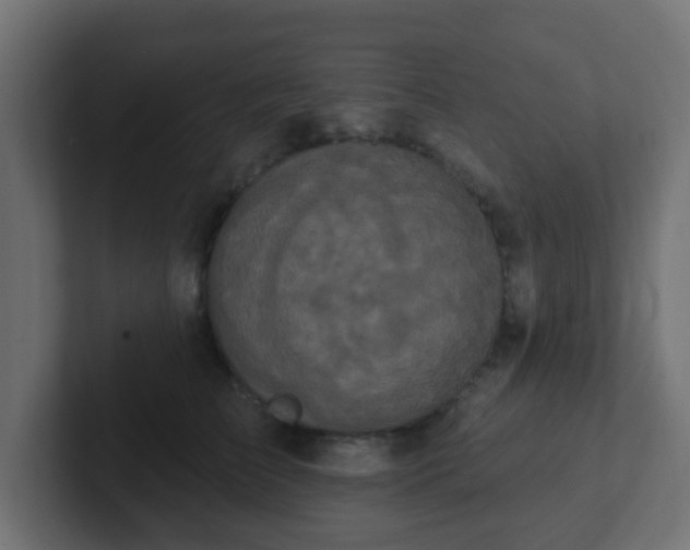 X0000102810709200808251109