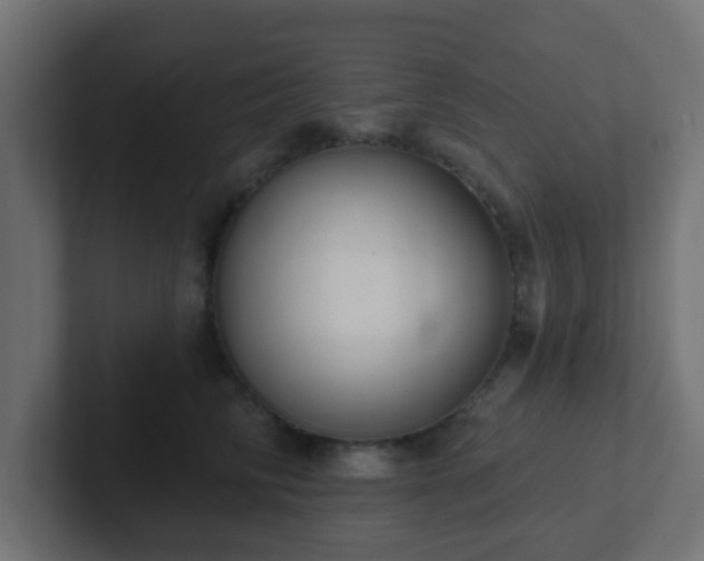 X0000102810710200808251109