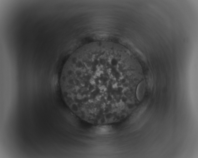 X0000102810711200808251109