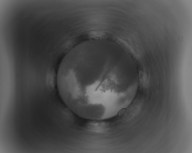 X0000102810712200808251109