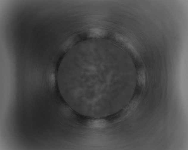 X0000102810716200808251109