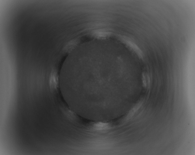 X0000102810718200808251109