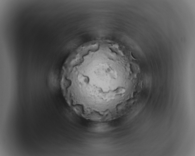 X0000102810719200808251109