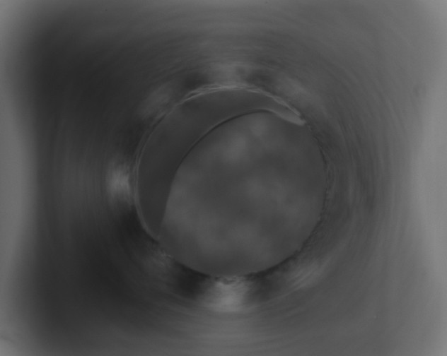 X0000102810720200808251109