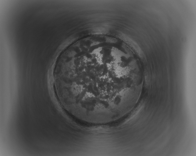 X0000102810721200808251108