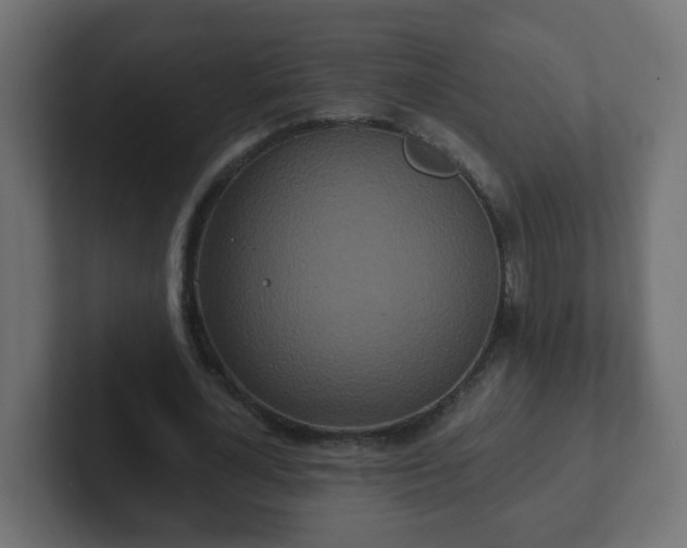 X0000102810724200808251108