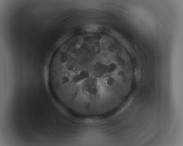 X0000102810725200808251108