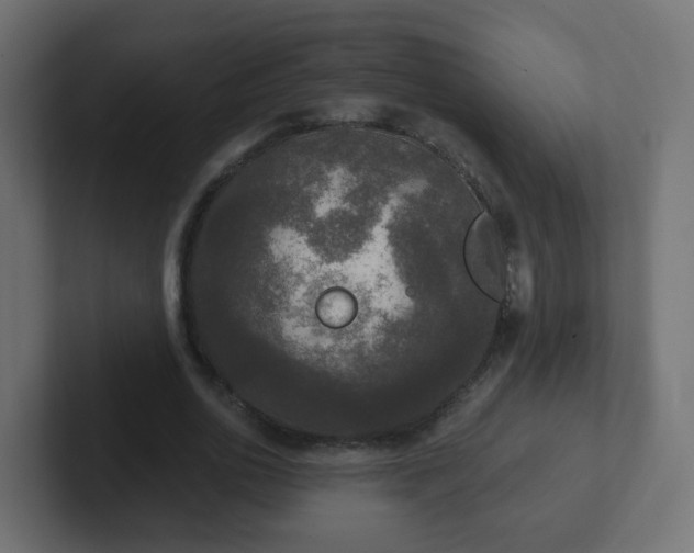 X0000102810726200808251109