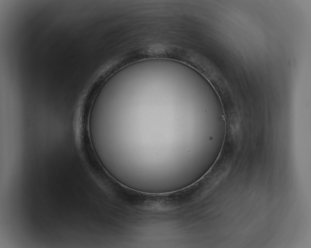 X0000102810728200808251109