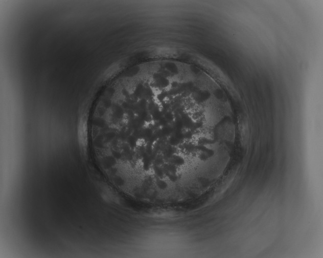 X0000102810729200808251109