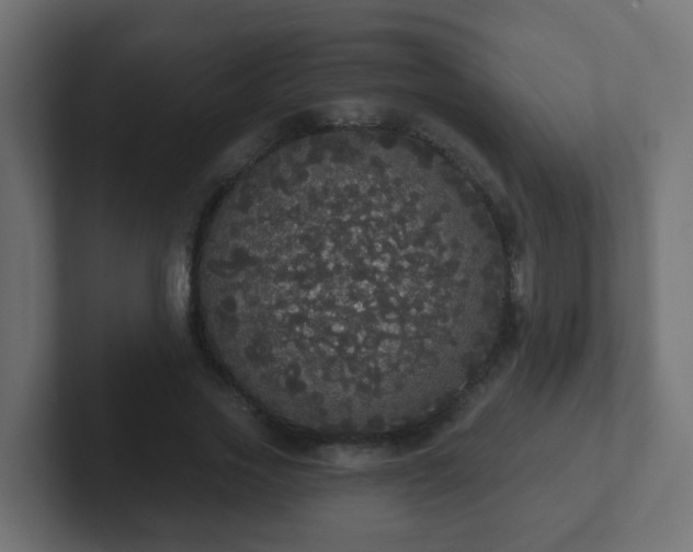 X0000102810733200808251109