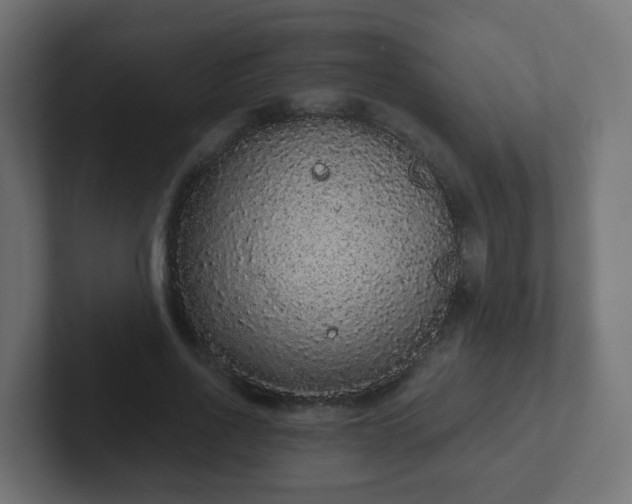 X0000102810734200808251109