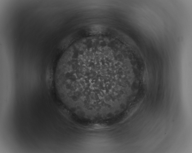 X0000102810737200808251109