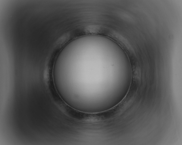 X0000102810738200808251109