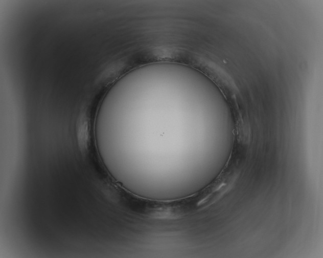 X0000102810740200808251109